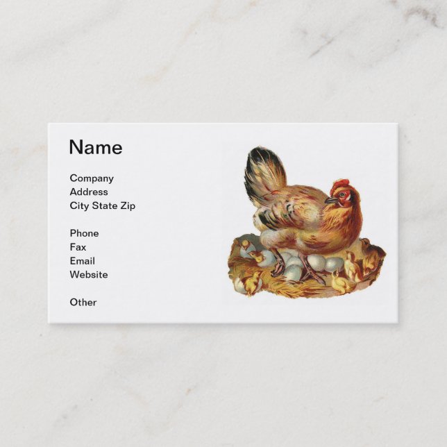 Carte de visite de poussins et d'oeufs de poule de (Devant)