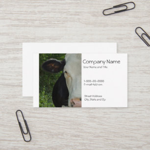 Carte de visite de producteur laitier de bétail