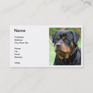Carte de visite de rottweiler