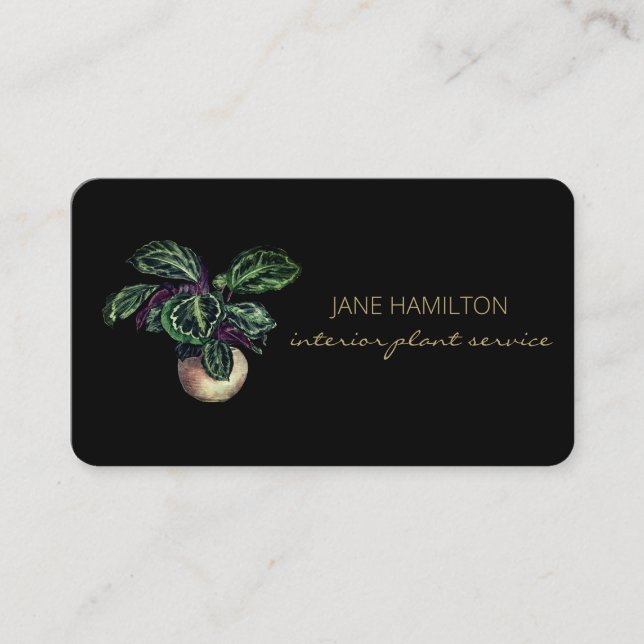 Carte de visite de service Plante design d'intérie (Devant)