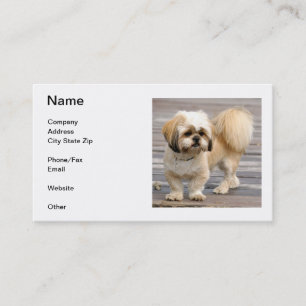 Carte de visite de Shih Tzu