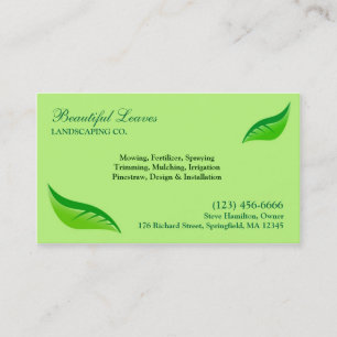 Carte de visite de soin de pelouse