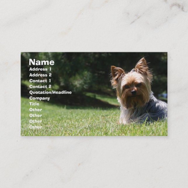 Carte de visite de soin des animaux familiers (Devant)