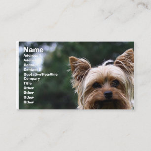 Carte de visite de soin des animaux familiers