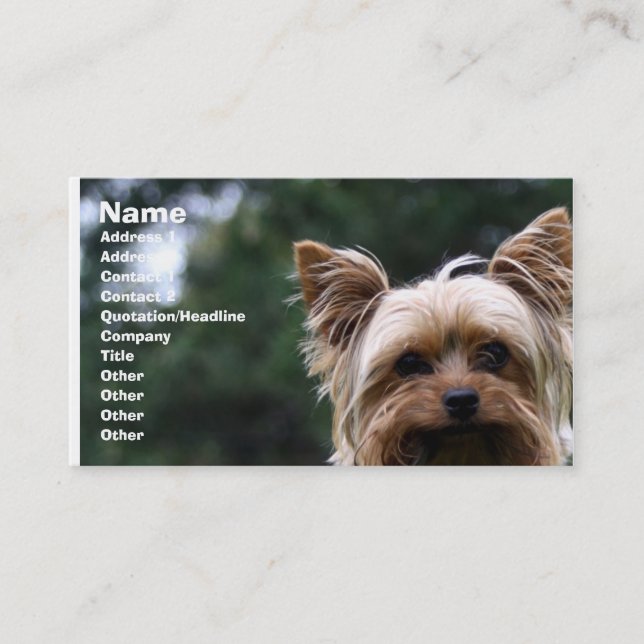 Carte de visite de soin des animaux familiers (Devant)