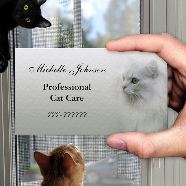 Carte de visite de soins aux chats (Business card for someone taking care of cats as a professional)