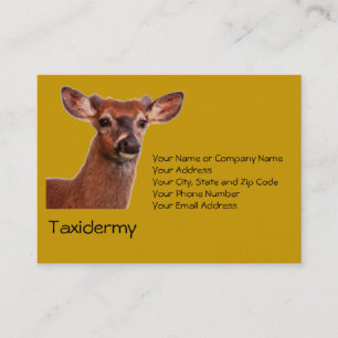 Carte de visite de Taxidermy