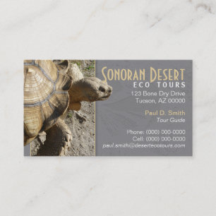 Carte de visite de tortue/tortue