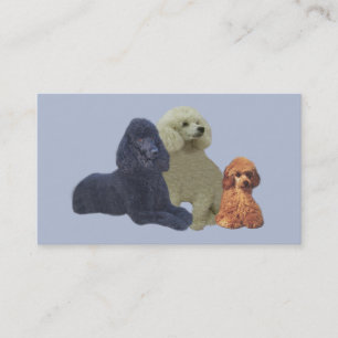 Carte de visite de trio de caniche