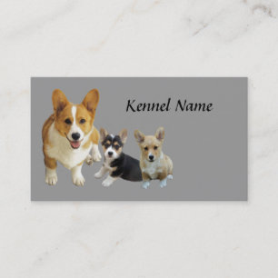 Carte de visite de trio de corgi de Gallois de