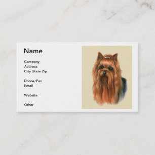 Carte de visite de Yorkshire Terrier