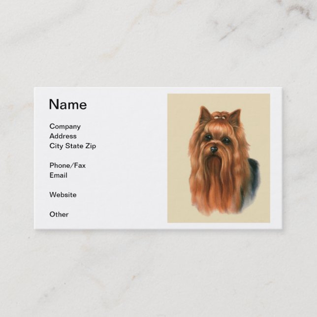 Carte de visite de Yorkshire Terrier (Devant)