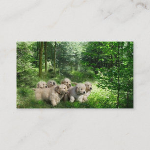 Carte de visite d'éleveur de golden retriever