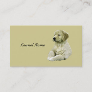 Carte de visite d'éleveur de golden retriever