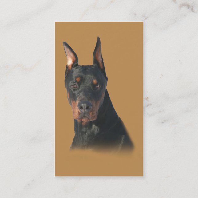 Carte de visite d'éleveur de Pinscher de dobermann (Devant)