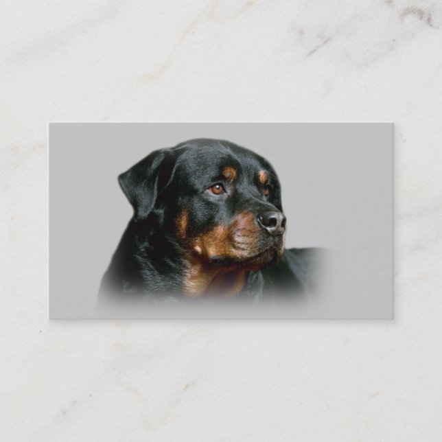 Carte de visite d'éleveur de rottweiler (Devant)