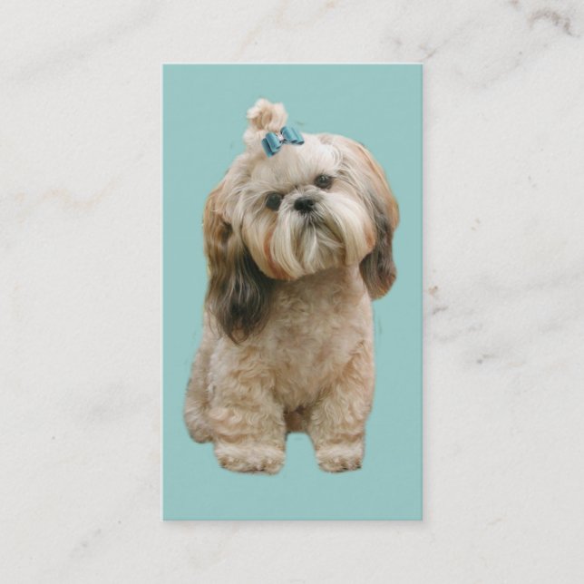 Carte de visite d'éleveur de Shih Tzu (Devant)