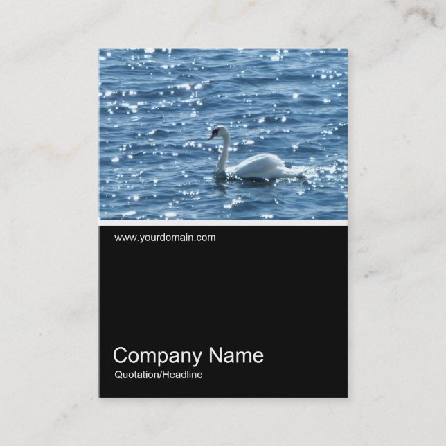 Carte De Visite Demi&Demi Photo 0167 - Swan, Cardiff Bay (Devant)