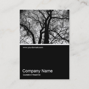 Carte De Visite Demi&Demi Photo 0192 - Arbre à contraste élevé