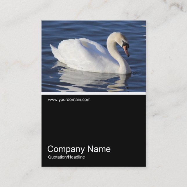 Carte De Visite Demi&Demi Photo 0306 - Cygne muet (Devant)