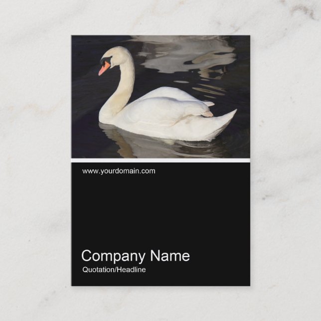 Carte De Visite Demi&Demi Photo 0307 - Cygne muet (Devant)