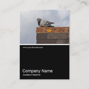 Carte De Visite Demi&Demi Photo 0376 - Good Morning Pigeon