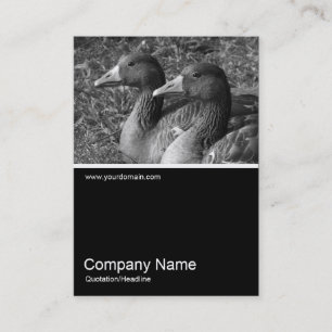 Carte De Visite Demi-mi-hauteur photo 0241 - Greylag Geese B&W