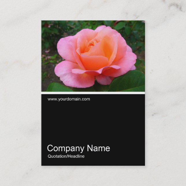 Carte De Visite Demi&mi photo 0173 - Rose (Devant)