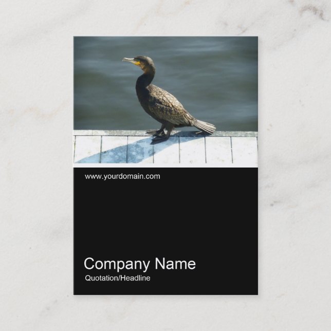Carte De Visite Demi&mi photo 0178 - Cormorant (Devant)