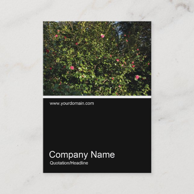 Carte De Visite Demi&mi photo 0313 - Camellia Bush (Devant)