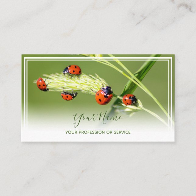 Carte De Visite Des coccinelles de chance positives pour le bien-ê (Devant)