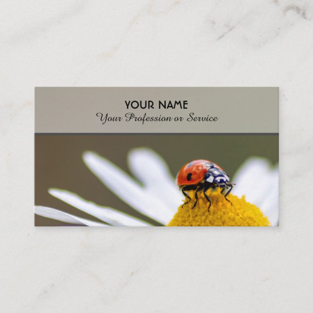 Carte De Visite Des coccinelles de chance positives pour le bien-ê (Devant)
