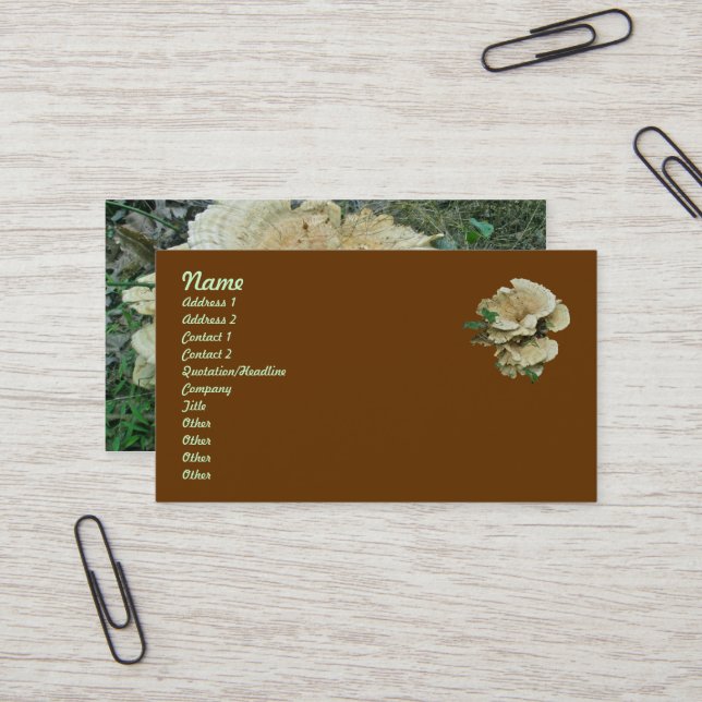 Carte de visite des éléments de coordination du ch (Devant/Arrière en situation)