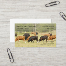 Carte de visite des producteurs laitiers de bovins