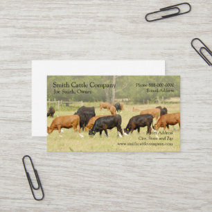 Carte de visite des producteurs laitiers de bovins