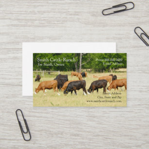 Carte de visite des producteurs laitiers de bovins