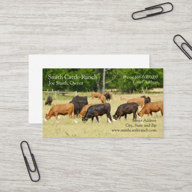 Carte de visite des producteurs laitiers de bovins (Devant/Arrière en situation)