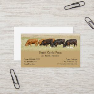Carte de visite des producteurs laitiers de bovins