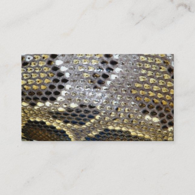 Carte De Visite dessin de serpent motif gris-noir beige (Devant)