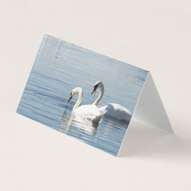 Carte De Visite Deux cygnes (Devant)