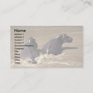 Carte De Visite Deux hippopotames