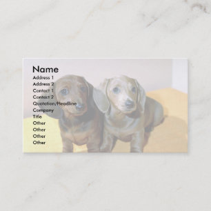 Carte De Visite Deux petits Dachshund