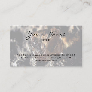 Carte De Visite Diamant, Fumé