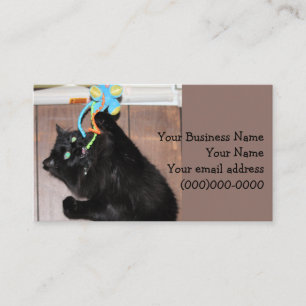 Carte De Visite Disco