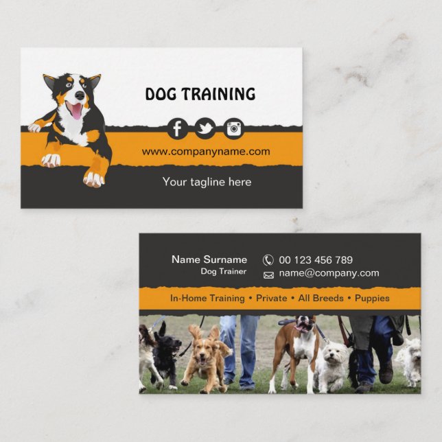 Carte De Visite Dog Trainer Business Card (Devant / Derrière)
