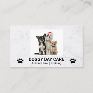 Carte De Visite Doggies mignonnes assis   Groomer   Formateur