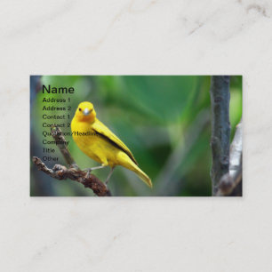 Carte de visite d'oiseaux jaunes