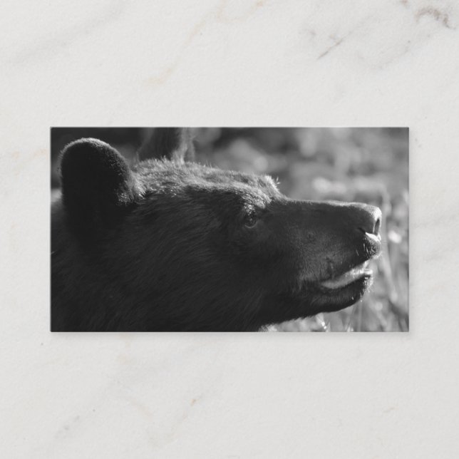 Carte de visite d'ours ( ajoutez votre propre text (Devant)