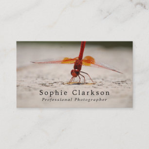 Carte De Visite Dragonfly rouge, photographe, photographie