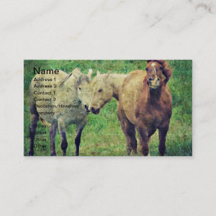 Carte De Visite Drôle des chevaux